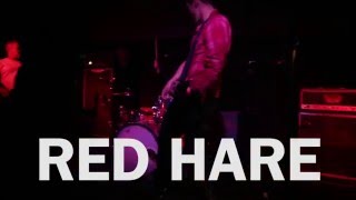 Red Hare - Silverfish