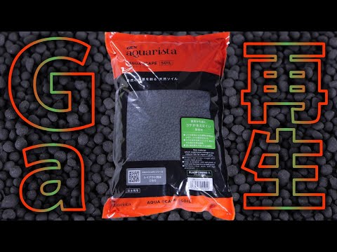 アクアサンタ テルメについて詳しく解説