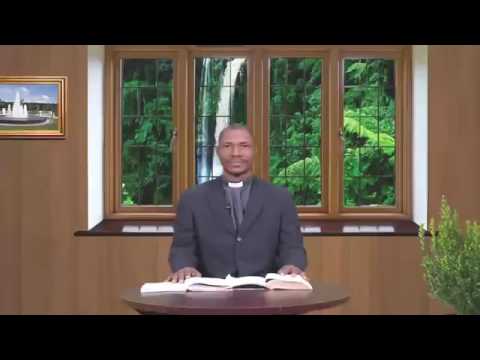 THE DAILY FOUNTAIN OF AUGUST 1, 2017