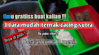 Download lagu FREE!! Easy tutorial on 3 ways to cultivate silkworms, you can choose! mp3