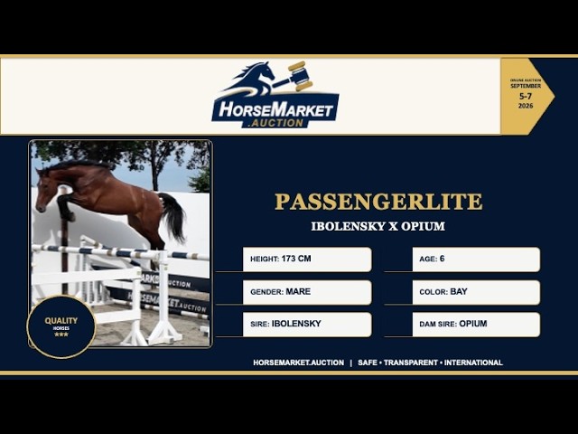 Passengerlite under the saddle