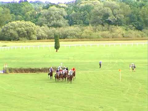 NE, 20. 8. 2017, 6. dostih - MEMORIÁL JIŘÍHO HURTA