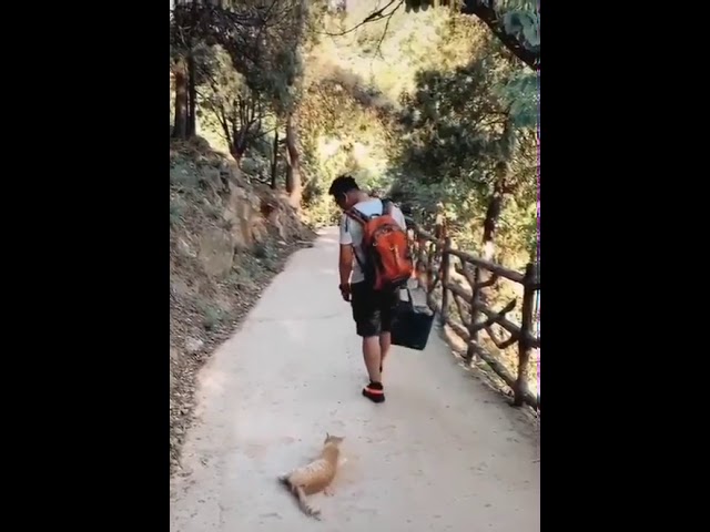 Остановись, человек!