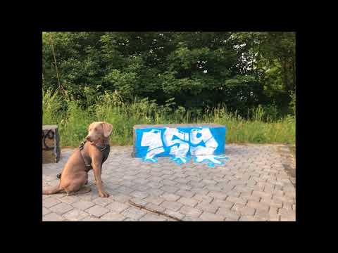 Cuba & Colt - Cubanischer Revolver