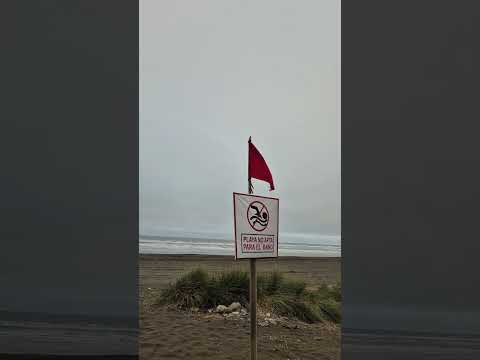 Puerto Saavedra, región de La Araucanía