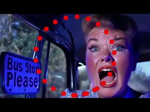 Fatboy Slim & Daniel Steinberg - Bus Stop Please (Official Video)