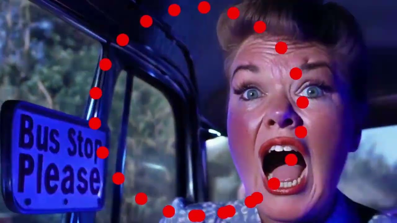 Fatboy Slim & Daniel Steinberg — Bus Stop Please