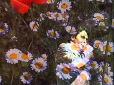 Abdurrahman Önül - Özledim - Şafakta Vuslat Var - Bu Gece Vuslatı Yaşar Gibiyim - En Güzel İlahiler