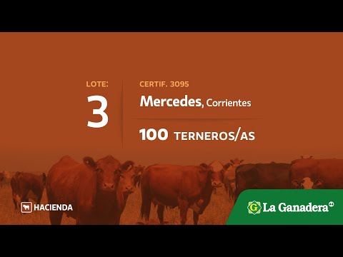 Lote Terneros/as en Mercedes (Ctes)
