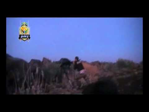 اشتباكات بين لواء أحفاد عثمان وقوات النظام للسيطرة على بلدة كفرنان في ريف حمص