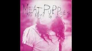 Meat Puppets - Shine