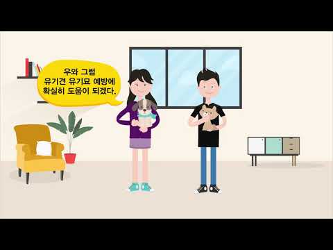마이펫플러스 - 동물병원 가격비교 앱 video thumbnail