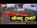 balumgala-31-03-2017