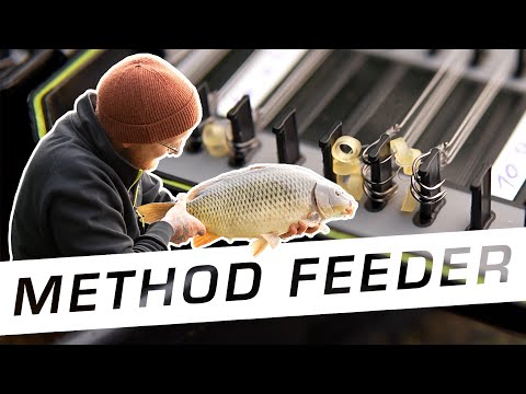 So fängst du JETZT dicke Karpfen mit dem Method Feeder