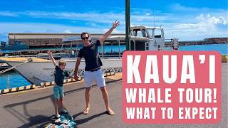 Kauai Whale Watching Tour Review (Drinks Included!)
