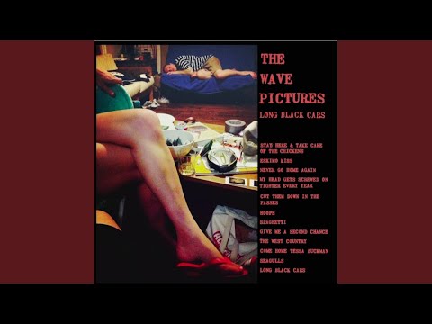 Stay Here and Take Care of the Chickens - The Wave Pictures