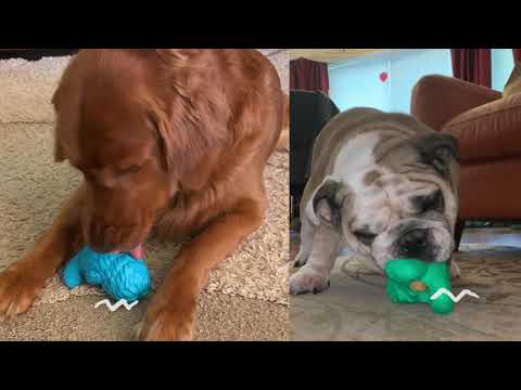 Yeti Puff and Play Treat Dispensing Toy for Dogs