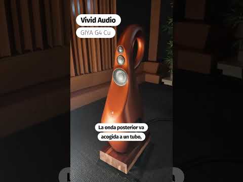 El imán del tweeter de Vivid Audio va abierto por delante y por detrás