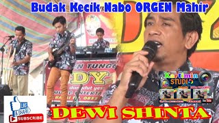 Download lagu //DEWI SHINTA// Vocalis // OP.DY.Mini Music// Manggus mp3