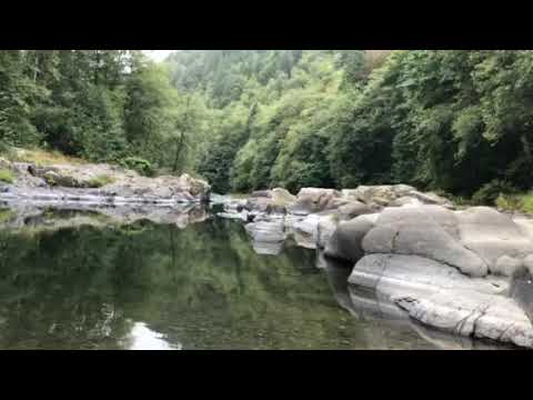 Overcast day at the creek.