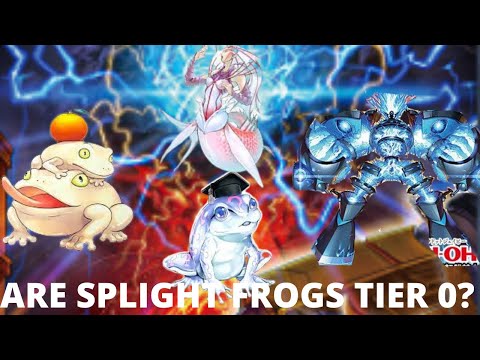 Are Splight Frogs Tier Zero? Play Testing The New Yu-Gi-Oh! Splight Cards!!