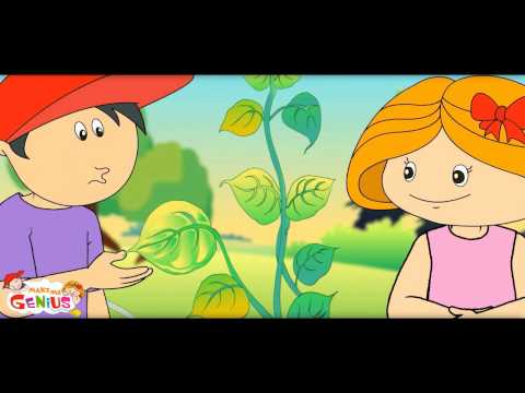 Photosynthesis - How Plants make Food- 2-Video for Kids by makemegenius.com