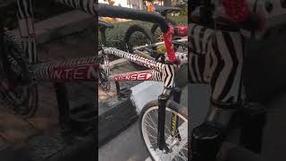 Download lagu ZEBRA INTENSE BMX #shorts #bmx #balaponthel mp3