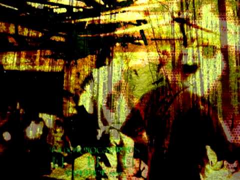 Pavor Nocturnus Šlus - Les