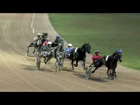 2020.11.14. 05. futam - DETROIT DÍJ