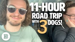 11-HOUR ROAD TRIP WITH 3 LARGE DOGS | Dog Vlog Ep 1