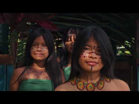 TIERRALTA, CÓRDOBA | Selva, Río y Cultura Emberá en el Alto Sinú 🌿 Turismo Colombia