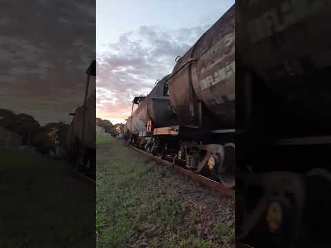 TREM NOTURNO AGORA ROLÂNDIA PR
