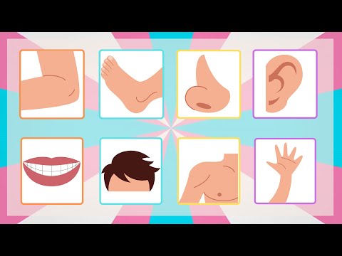 ¡Aprende las Partes del Cuerpo! | 👂🏼👀👄👅👋🏻🦶🏼|  Video Educativo para Niños