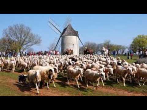 download lagu mp3 mp4 Cave Cevenole, download lagu Cave Cevenole gratis, unduh video klip Cave Cevenole