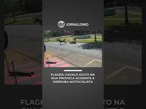 Cavalo solto provoca acidente e derruba motociclista em avenida de Franca | #SBTNotícias