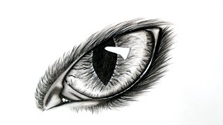 How to Draw a Cat Eye Step By Step | Eyes Animal Drawing