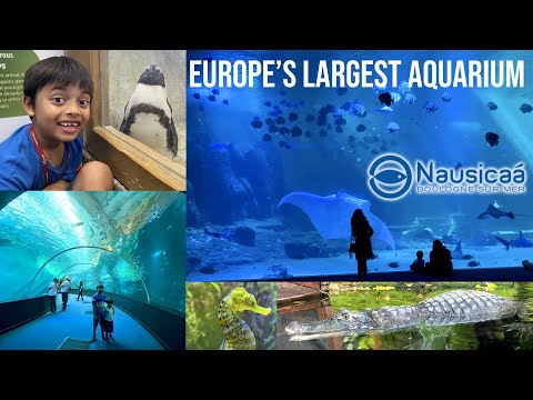 Nausicaá in France - The Largest Aquarium in Europe