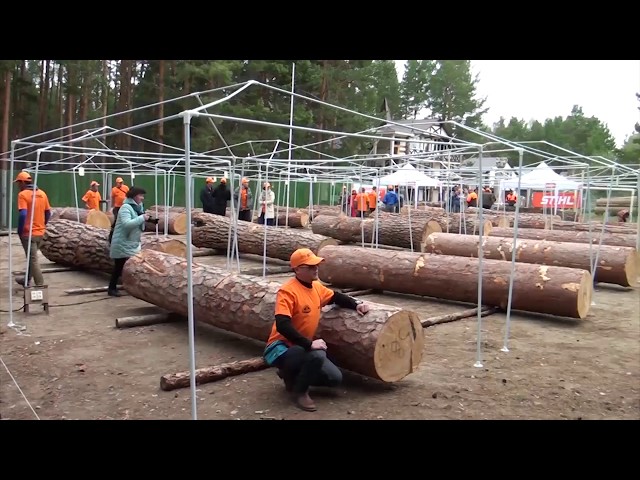 В Савватеевке открылось «Лукоморье»