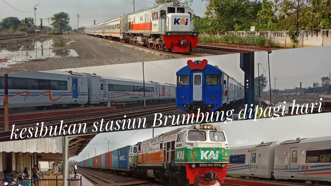 Kompilasi ramainya Kereta Api pagi keluar masuk Stasiun Brumbung