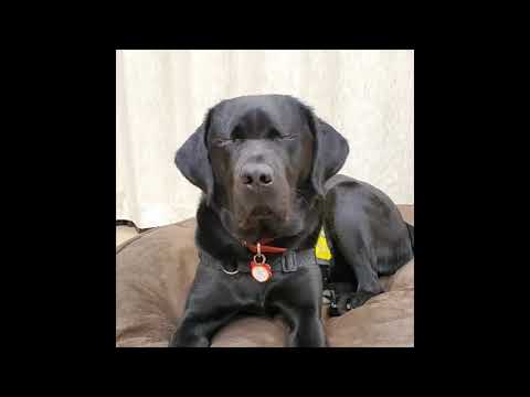 Ishi Simple Tips from a Solid Friend