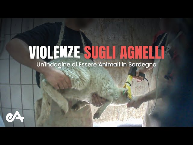 Προφορά βίντεο Agnelli στο Ιταλικά Προφορά βίντεο Agnelli στο Ιταλικά