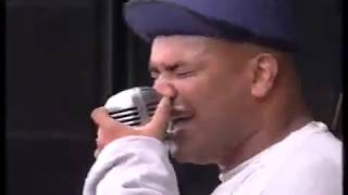 Urban Dance Squad - Pinkpop Festival 1994 (full concert)