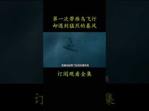 第一次带雁鸟飞行 却遇到猛烈的暴风 #電影 #movie #film#给我翅膀