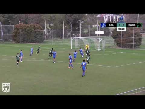 2020 NPL Capital Series 3 Goals