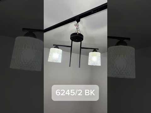 Миниатюра изображения товара Потолочный светильник Aitin-Pro НПБ 02-2x40-101 / 6245/2 (черный)