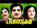 പ്രേം നസീർ വിജയശ്രീ താര ജോഡികൾ ഒന്നി�