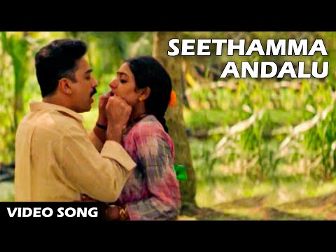 Seethamma Andhalu Video song | Subha Sankalpam Songs | Kamal Haasan, Aamani | Volga Videos