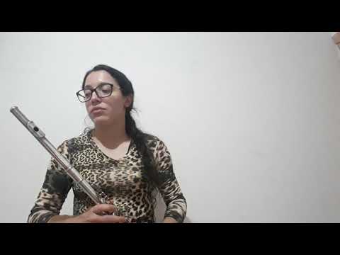 56 tudo em Cristo, harpa cristã cover flute