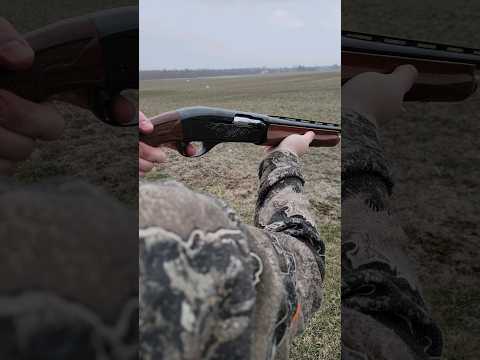 REVIEW:  Remington Express Air Gun - Spring Powered Air Rifle