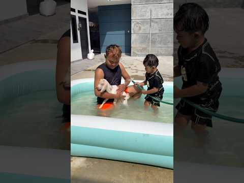 Berenang sama kambing rafasyah